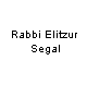 Rabbi Elitzur Segal-s.png